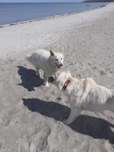 48. Collagen Challenge: Das Leben ist bunt-Beitrag-Bild