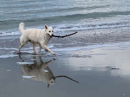 37. Collagen Challenge- Am Strand-Beitrag-Bild