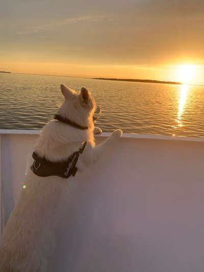 48. Collagen Challenge: Das Leben ist bunt-Beitrag-Bild