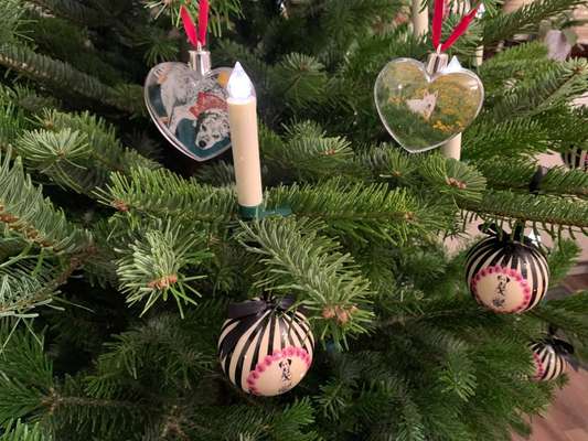 Dogorama Photo Challenge - Weihnachtsbaum-Beitrag-Bild