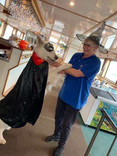 33. Handy Foto Challenge - Verkleidung deines Hundes-Beitrag-Bild