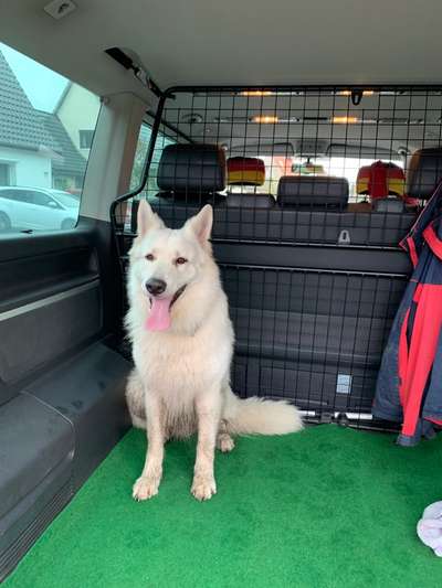 23. Collagen-Challenge: Portraits-Beitrag-Bild