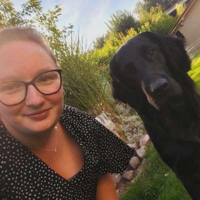 Hundetreffen-Gemeinsame Gassirunden & trainieren von Hundebegegnungen-Profilbild