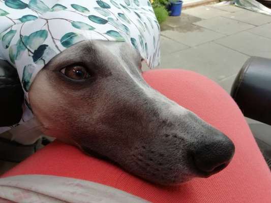 20. Handy -Foto-Callenge-Beitrag-Bild