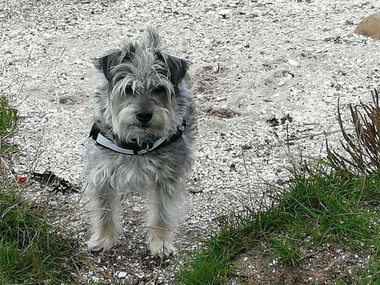 149. Foto Challenge: Wer ist hier der Boss!-Beitrag-Bild