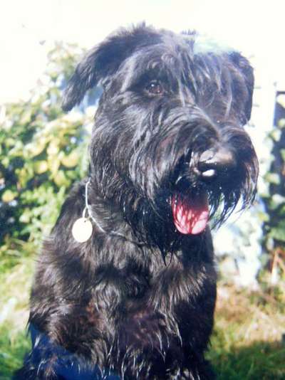 Fotochallenge Glanzbilder,du glänzt so schön-Beitrag-Bild