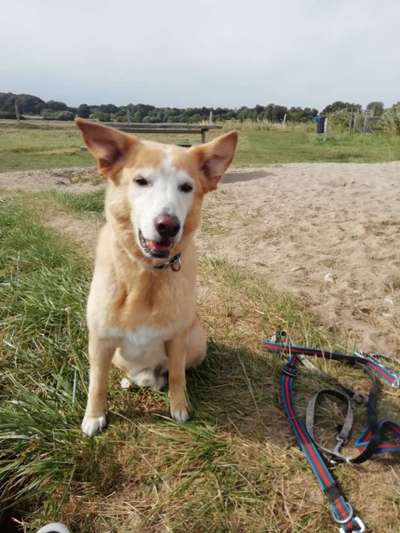 20. Handy -Foto-Callenge-Beitrag-Bild