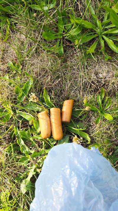 Giftköder-Evtl. Giftköder-Bild