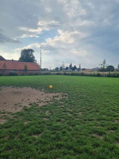 Hundeauslaufgebiet-Kaunitz, Köldingsweg 66-Bild