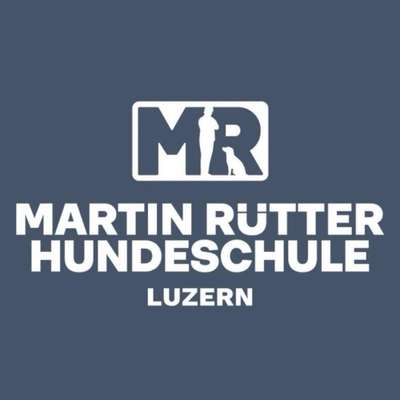 Hundeschulen-Martin Rütter Hundeschule Luzern-Bild
