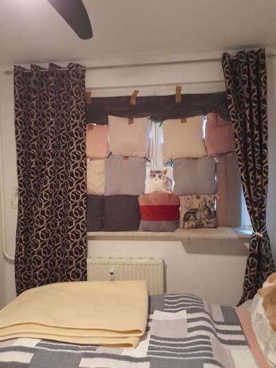 Wie übersteht ihr Silvester?-Beitrag-Bild