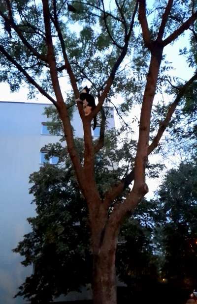 57. Handy Foto Challenge - klettern-Beitrag-Bild