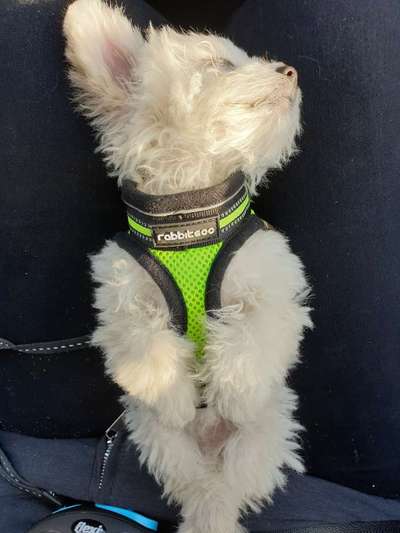 CHALLENGE NR. 18 - ON TOUR-Beitrag-Bild