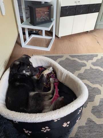 Immer lächeln !-Beitrag-Bild