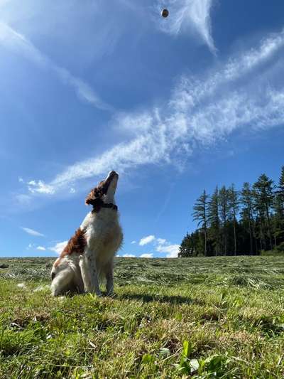 FOTOCHALLENGE 86-Beitrag-Bild