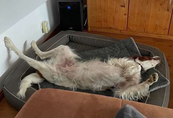 FOTO-Challenge  NR. 91: Die pure Entspannung-Beitrag-Bild