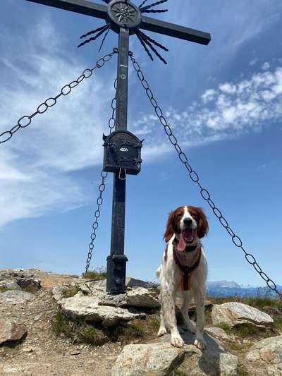 Fotochallenge Nr 107-Beitrag-Bild