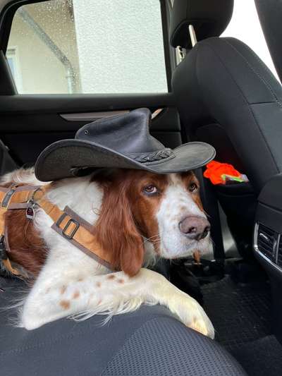 Fotochallenge 101:
On Tour-Beitrag-Bild