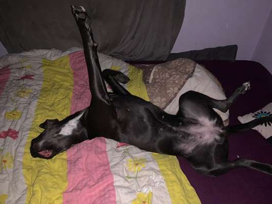 Lustige Grimassen & verrückte Posen-Beitrag-Bild