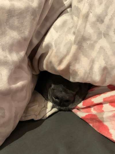 13. Farben-Fotochallenge "Grau"-Beitrag-Bild