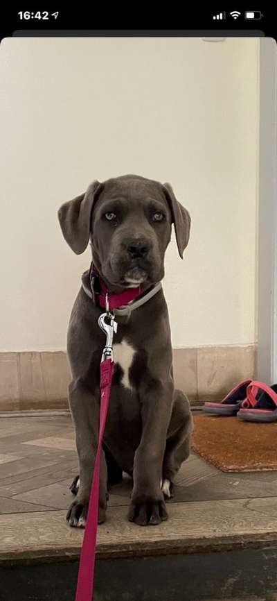 Fotochallange Nummer 5-Beitrag-Bild