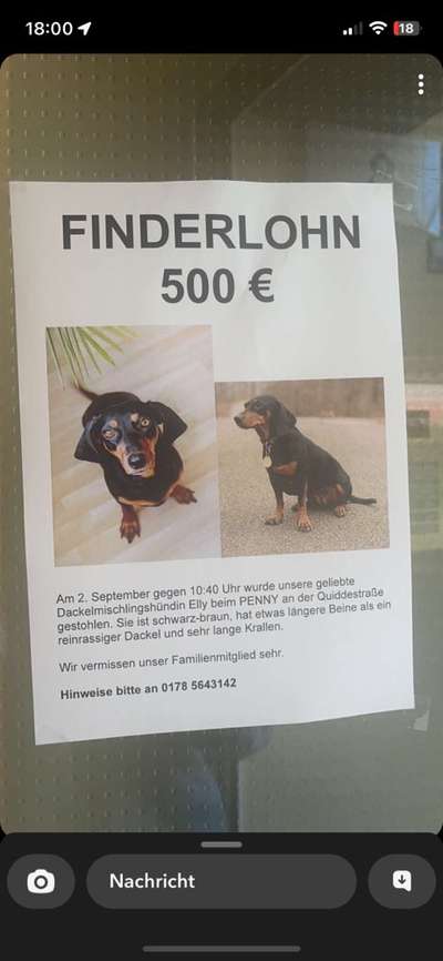 Suchmeldung-Elly-Bild