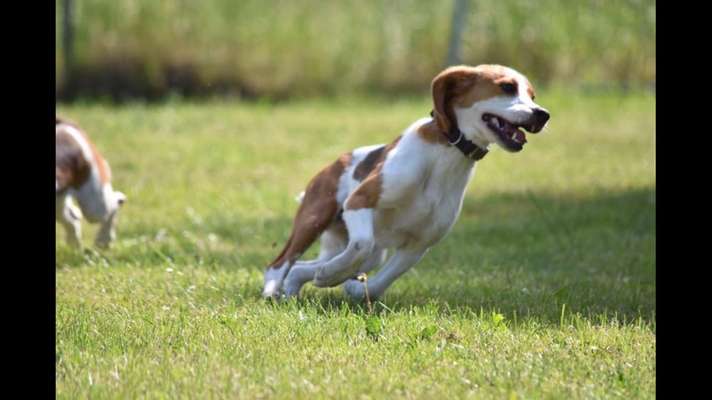 Lustige Grimassen & verrückte Posen-Beitrag-Bild