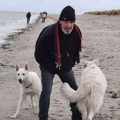 Hundetreffen-Gassi gehen und mit den Vierbeiner die Wälder erkunden.-Profilbild