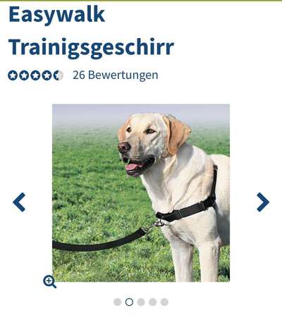 Zieh extrem an der leine-Beitrag-Bild