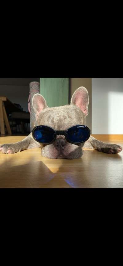 Fotochallange Nr. 57     PORTRÄT.   Beendet!!!!!!!!-Beitrag-Bild