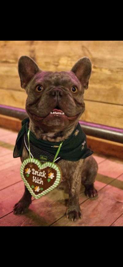 Dogorama Photo Challenge - Be my valentine-Beitrag-Bild