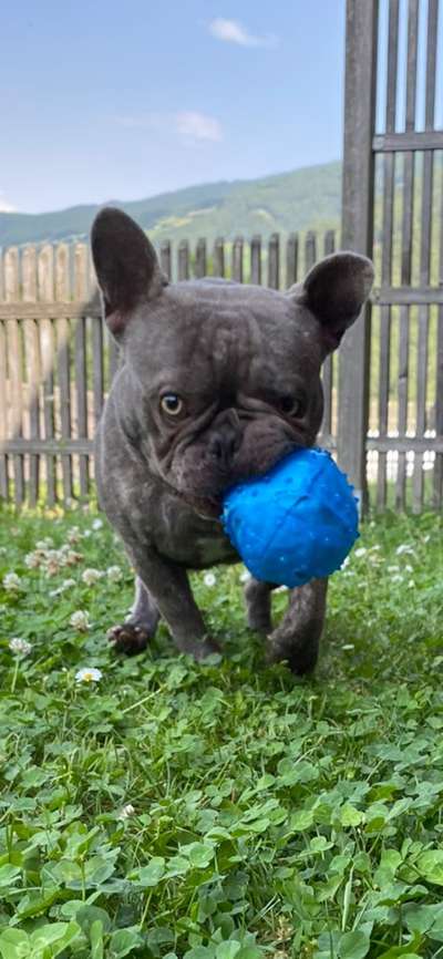 Hier ist der Spaßthread. Zum Schmunzeln und Kaputtlachen-Beitrag-Bild