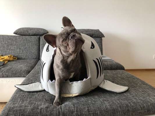 Gibt es Namens-Verwandte-Beitrag-Bild