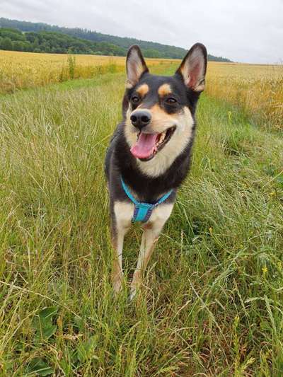 Das beste grinsefoto-Beitrag-Bild