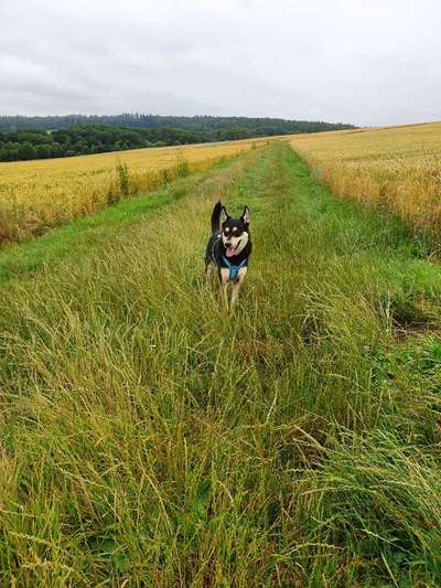 Theos  Fotochallenge Nummer 2-Beitrag-Bild