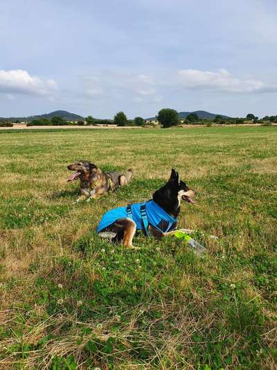 Foto-Challange No.1 - Alles aber nicht die Kamera-Beitrag-Bild