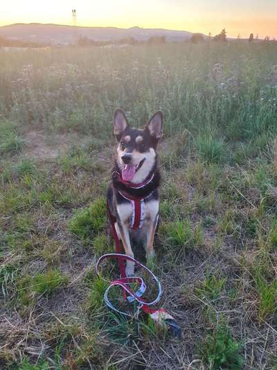 Doppelgänger gesucht !-Beitrag-Bild