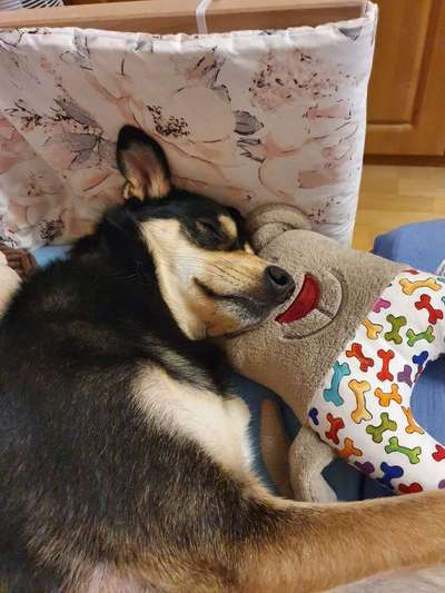 FOTO-Challenge  NR. 91: Die pure Entspannung-Beitrag-Bild