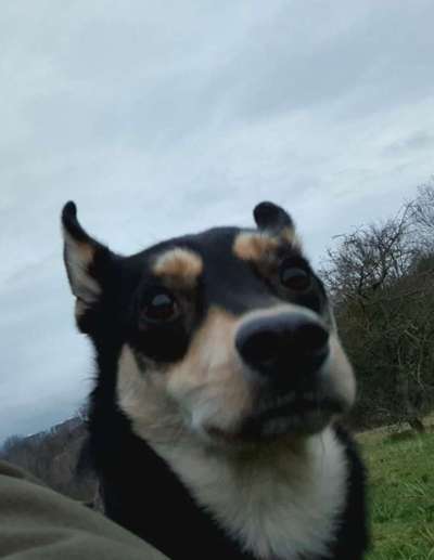 Fotochallange 84-Beitrag-Bild