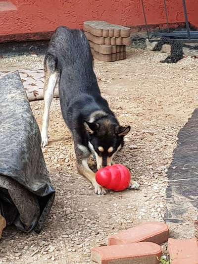 Fotochallenge No.97-Beitrag-Bild