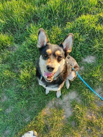 Handy-Foto Challange Nr. 10-Beitrag-Bild