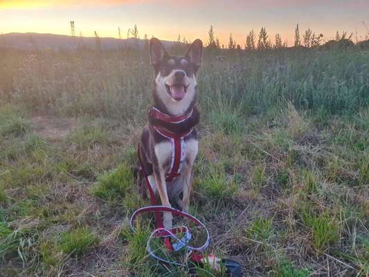 Außergewöhnliche Merkmale-Beitrag-Bild