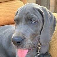 %{de_profession_title}-Telefonische Beratung-Bild