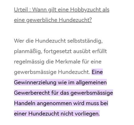 Überfüllte und unterfinanzierte Tierheime – Braucht es politisches Handeln?-Beitrag-Bild