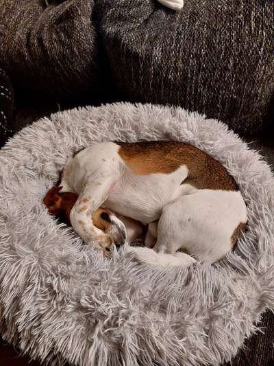 Foto Challenge Nr. 134-Beitrag-Bild