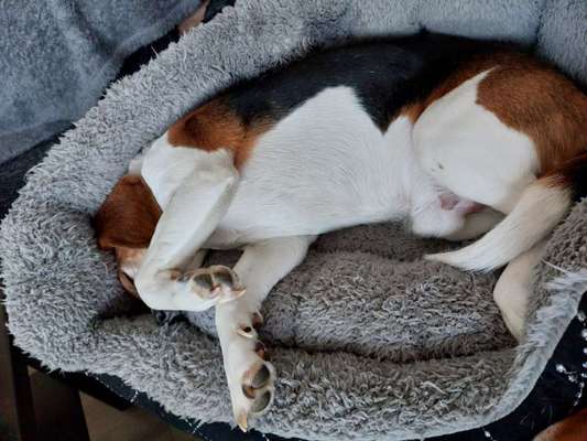 Foto Challenge Nr. 134-Beitrag-Bild