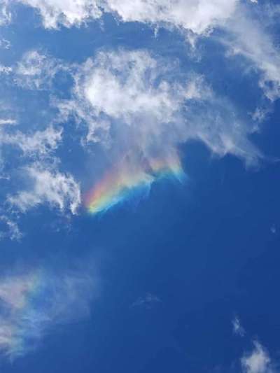 Unsere Fellnasen im Regenbogenland-Beitrag-Bild