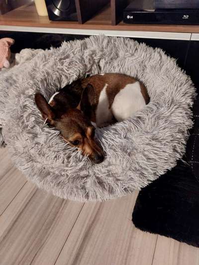 Foto Challenge Nr. 134-Beitrag-Bild