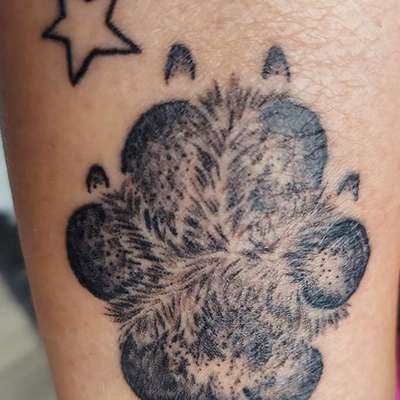 Andenken nach dem Verlust des Seelenhundes-Beitrag-Bild