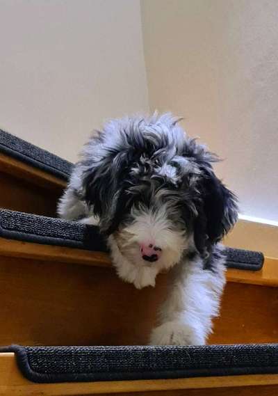 Fotochallange Nr. 57     PORTRÄT.   Beendet!!!!!!!!-Beitrag-Bild